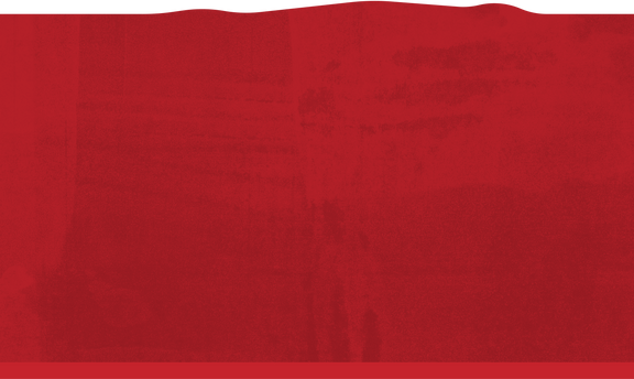 McCormick® Winter Finishing Sugars Gift Set, 4ct