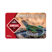 National Parks Annual Pass