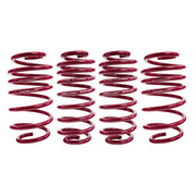 Vogtland Sport Lowering Springs