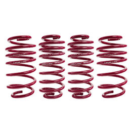 Vogtland Sport Lowering Springs