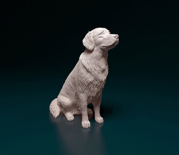 Golden Retriever | 3D Print Model