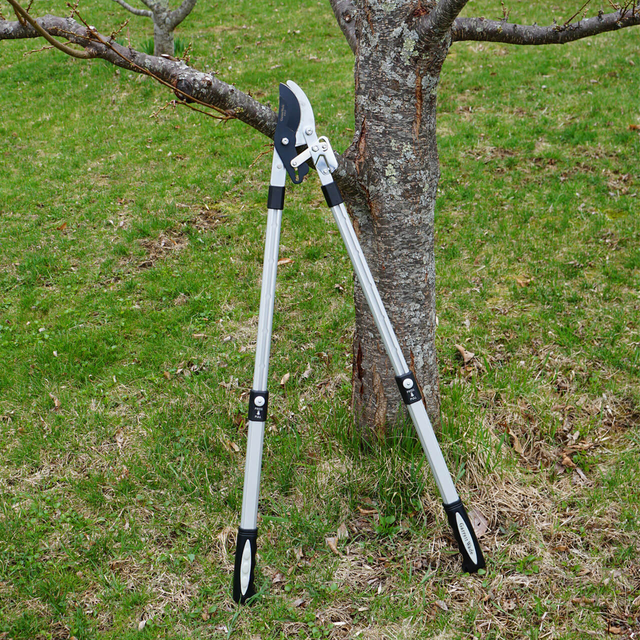 Heavy Duty Anvil Lopper