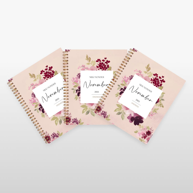 Monthly Self-Care Journals : 3-Pack