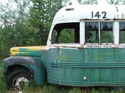 Watch The Call of the Wild Online | Vimeo On Demand