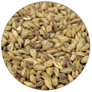 Special Roast Malt - Briess