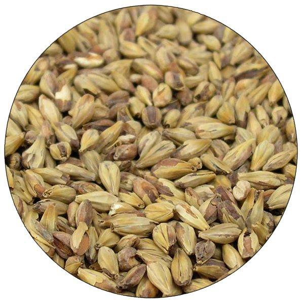Special Roast Malt - Briess