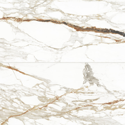 Prati 24" x 48" Polished Porcelain Field Tile in Calacatta Macchia Vecchia