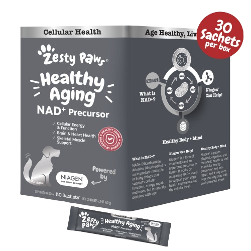 Healthy Aging Niagen Powder for Dogs