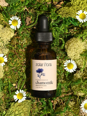 Flower Essence: Chamomile