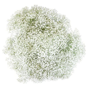 Sam's Club - Wholesale Prices on Top Brands