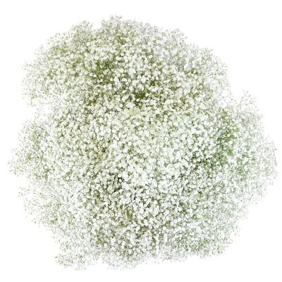 Sam's Club - Wholesale Prices on Top Brands