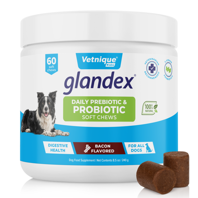Glandex® Daily Prebiotic & Probiotic Soft Chews