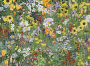 Wildflower Tapestry (506 Piece Wooden Jigsaw Puzzle)