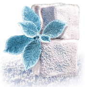 Extreme Mint Flavor Concentrate