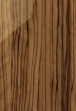 Light Wood Gloss DS-CLG