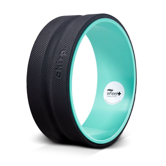 Chirp Wheel+ 12" Gentle