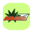 Budmail logo