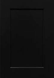 True Black Shaker DS-BTS