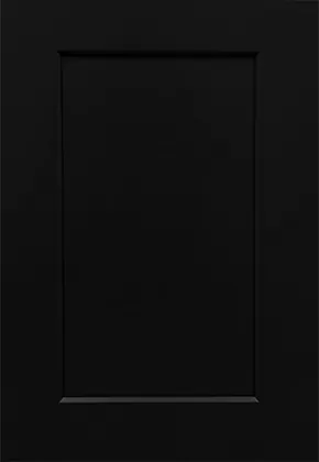 True Black Shaker DS-BTS