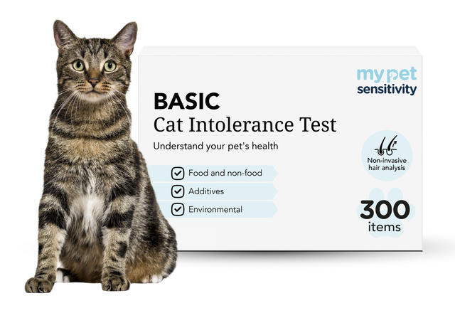 Basic Cat Intolerance Test