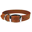 Luxe Leather Dog Collar