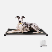 Chew Proof Armored™ Padded Elevated Dog Crate Bed