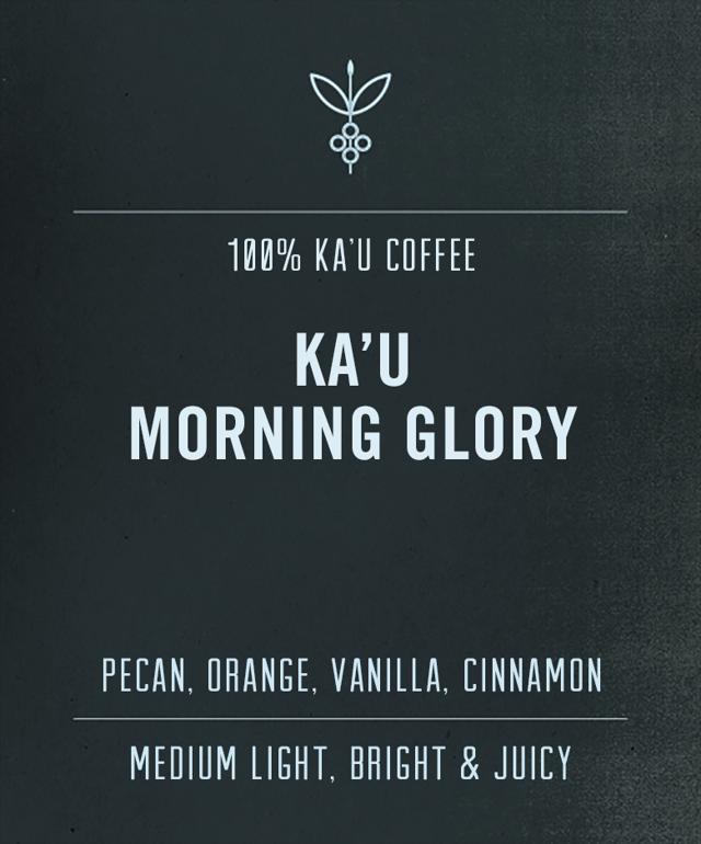 Kaʻu Morning Glory | 100% Kaʻu Coffee
