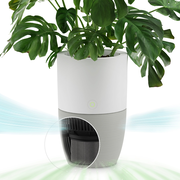 Bloom™ Air Purifier
