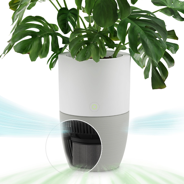 Bloom™ Air Purifier