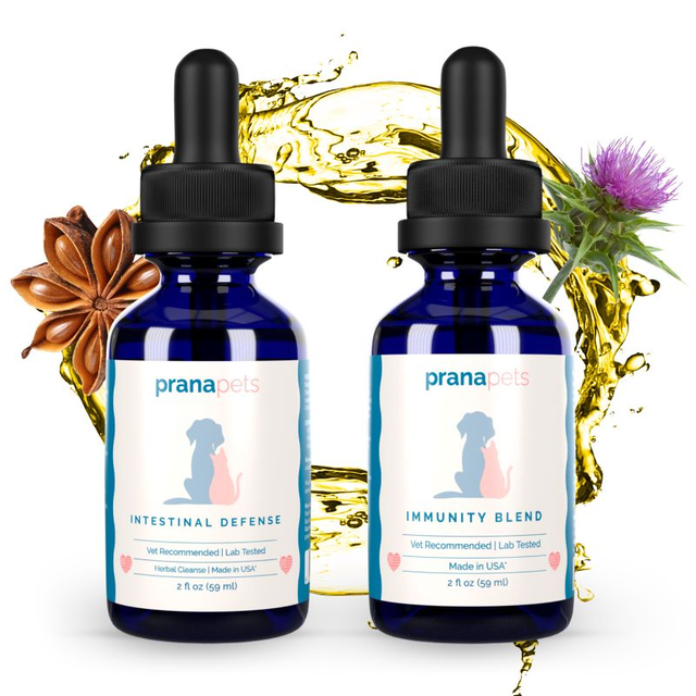 Intestinal Defense Immunity Regimen