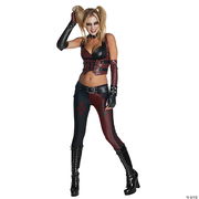 Women's Batman: Arkham City Harley Quinn Costume