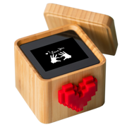 Lovebox Love Note Messenger