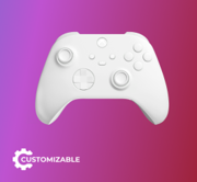 Xbox One S + PC Custom Controller