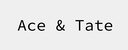 Ace & Tate logo