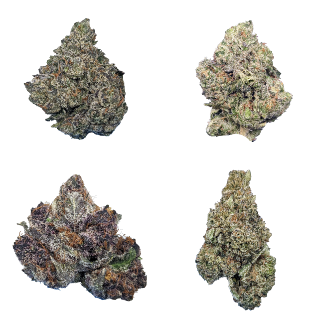 Indoor THCa Flower Sample Pack - CBD Hemp Direct