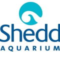 Shedd Aquarium logo
