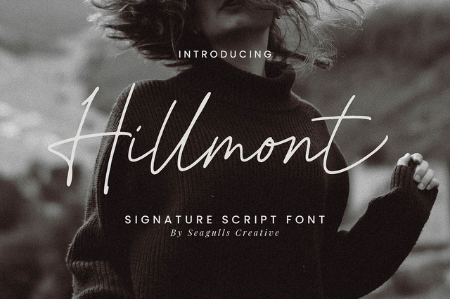 Hillmont Signature Script Font, a Script Font by Seagulls Creative