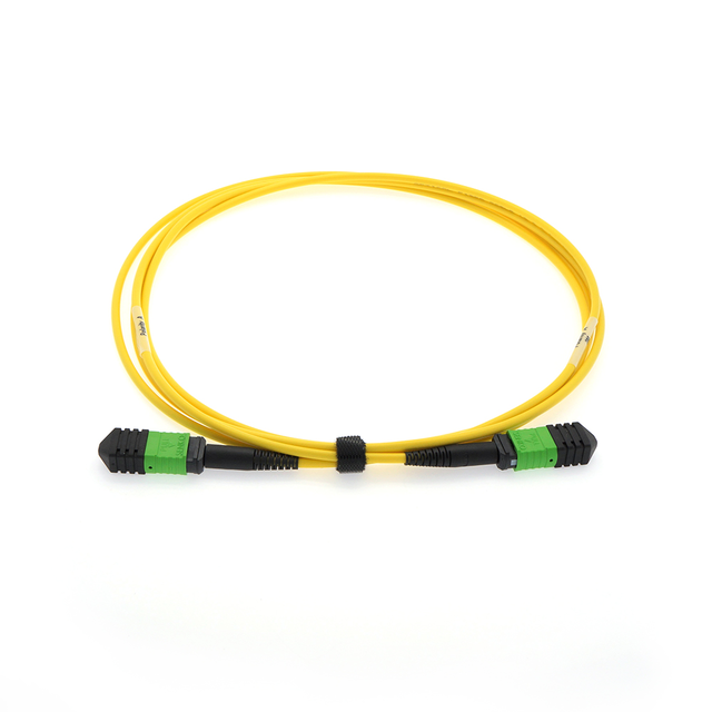 MPO 12 Connector APC Singlemode Fiber Optic Cable - 5 Meter- Choose Method A/B