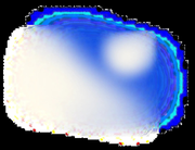 Cat Shipping Service