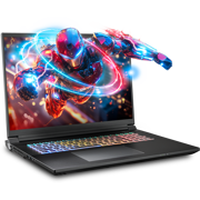 SAGER NP9580T (Clevo X580WNT-G) Gaming Laptop