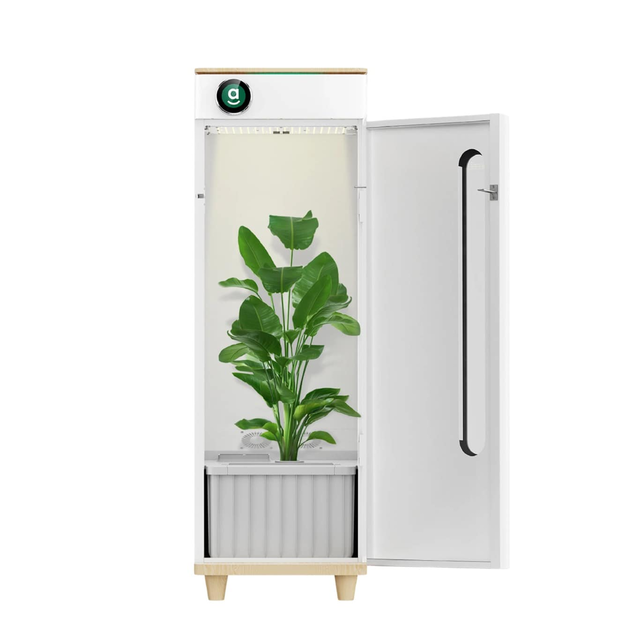 Hey abby Automated Grow Box OG Edition