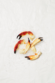 Large Stone Crab Claws