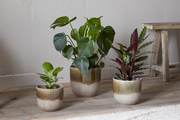 Almeida Reactive Glaze Plant Pot - Olive & Natural