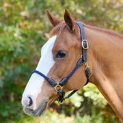 SmartPak Leather/Rope Halter