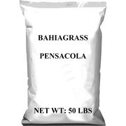 Pensacola Bahia " Lawn" Grass Seed (Raw)