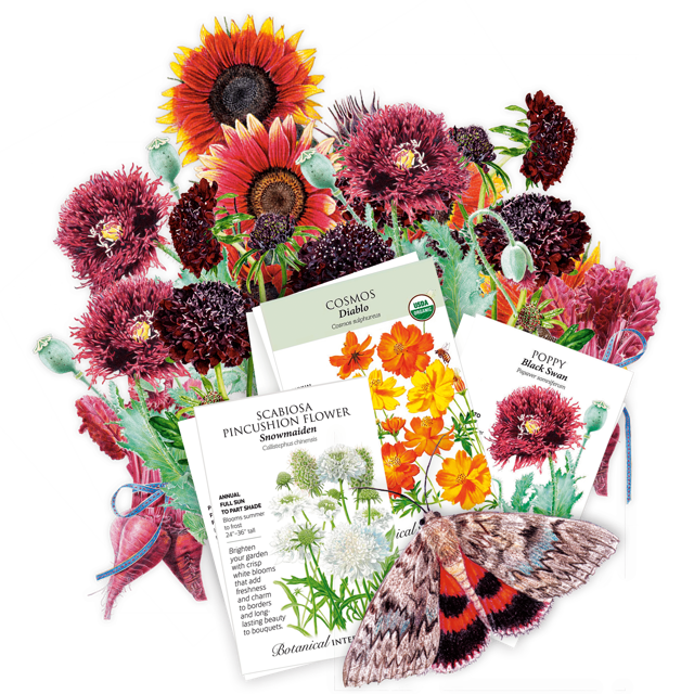 The Heavy Metal Garden