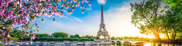 Flights from Johannesburg to Paris