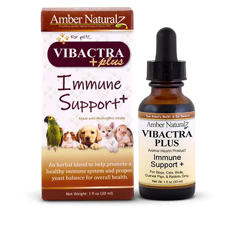 Vibactra Plus - Immune Booster & Yeast Balance Supplement