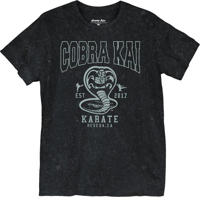 Est. 2017 Cobra Kai T-Shirt