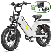 AQ177 Pro Max Dual Motor Ebike